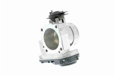 VEMO V10-81-0055 EAN: 4046001588730.
