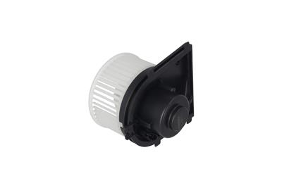 KAMOKA 7790006
