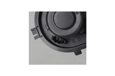 KAMOKA 7790006