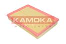 KAMOKA F202901