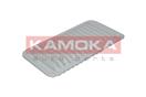 KAMOKA F203801