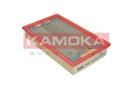 KAMOKA F205001