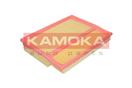 KAMOKA F205401
