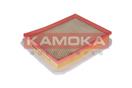 KAMOKA F206701