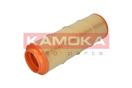 KAMOKA F207001