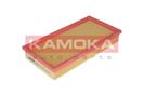 KAMOKA F207901