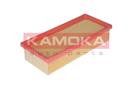 KAMOKA F209601