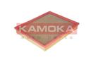KAMOKA F212001