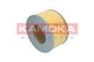 KAMOKA F215901