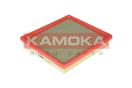 KAMOKA F216901