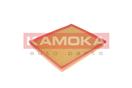 KAMOKA F217901