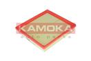 KAMOKA F218201