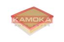 KAMOKA F218301