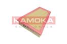KAMOKA F218801