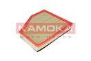 KAMOKA F219601