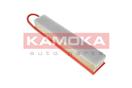 KAMOKA F221601