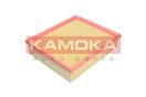 KAMOKA F221801