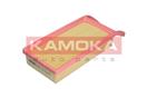 KAMOKA F223701