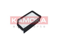 KAMOKA F226201