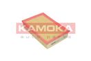 KAMOKA F228001