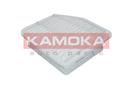 KAMOKA F230101