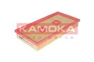 KAMOKA F230801