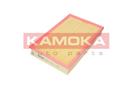 KAMOKA F231901