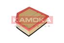 KAMOKA F232201