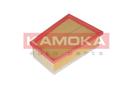 KAMOKA F234201