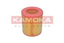 KAMOKA F236701
