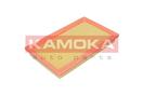 KAMOKA F253601