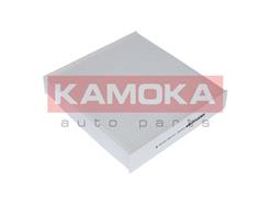 KAMOKA F401001