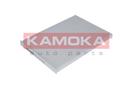 KAMOKA F401801