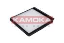 KAMOKA F403501