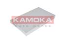 KAMOKA F403701