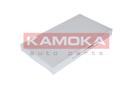 KAMOKA F404701