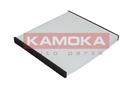 KAMOKA F406101