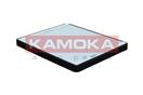 KAMOKA F408101