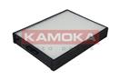 KAMOKA F409601