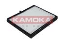 KAMOKA F410401