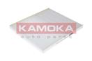 KAMOKA F412501