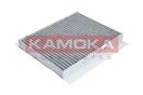 KAMOKA F502201