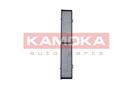 KAMOKA F505901