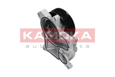 KAMOKA T0048 EAN: 5901779824475.