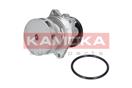 KAMOKA T0059