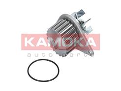 KAMOKA T0078
