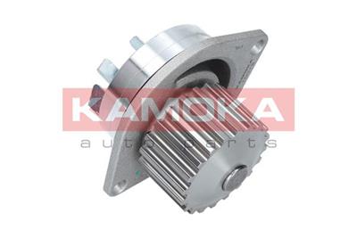 KAMOKA T0079 EAN: 5901779824789.