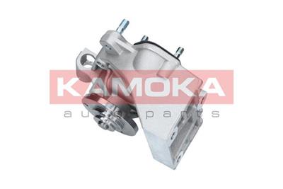 KAMOKA T0098 EAN: 5901779824970.