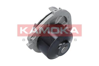 KAMOKA T0113 EAN: 5901779825120.
