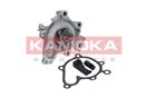 KAMOKA T0178